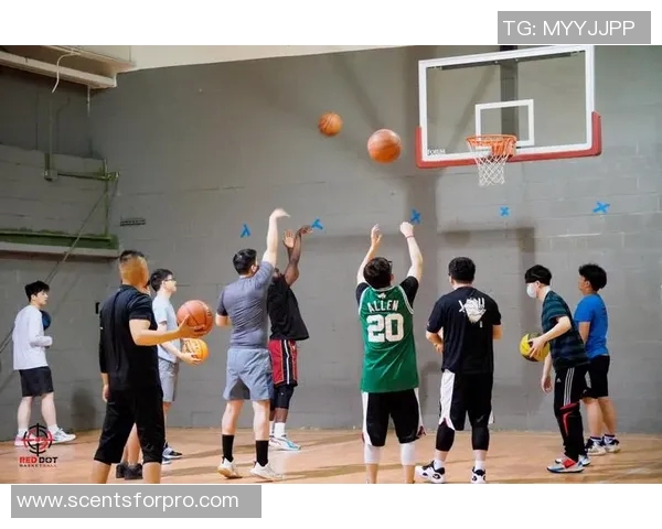 篮球明星玫瑰绽放的光辉与梦想背后的故事与奋斗历程