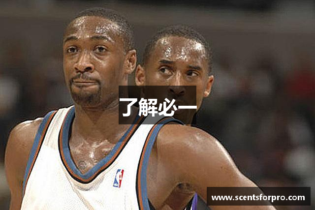了解必一